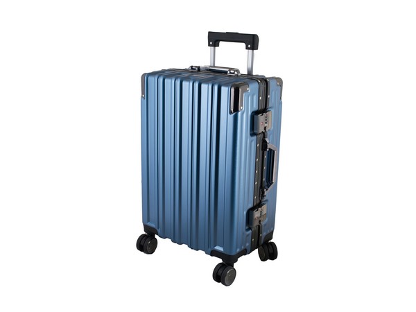 Trunk Check-In Luggage Bag - 24-inch