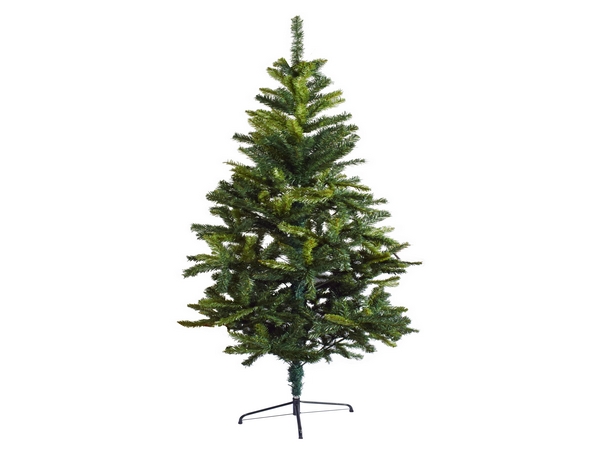 Tall Evergreen Christmas Tree